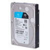 HD10TB-S-AI