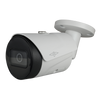 XS-IPB619SWH-2P-AI